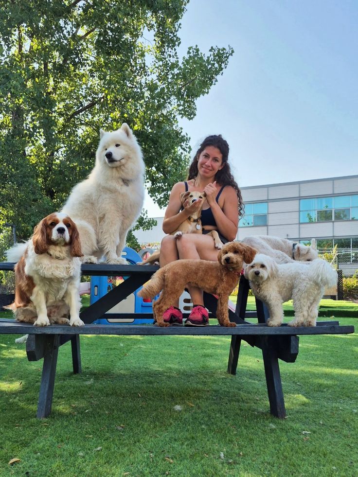 Equipo de Alma de Criador con varios perros